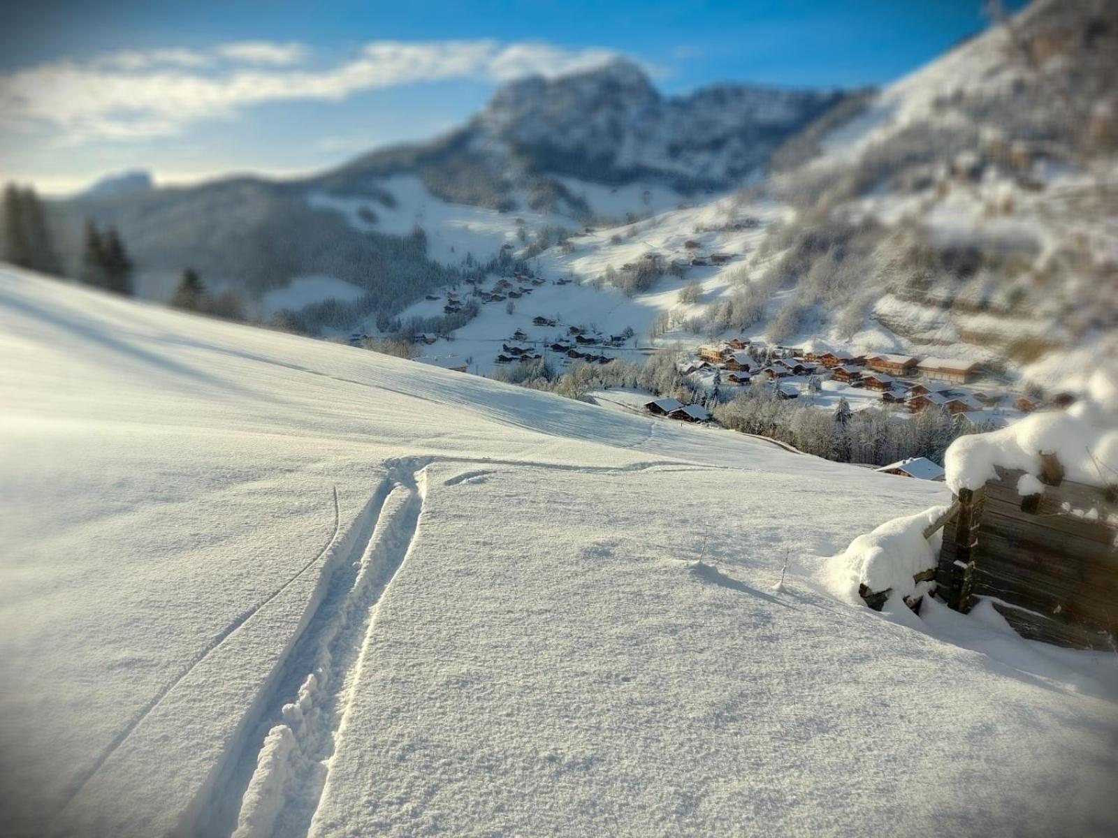 Lachat Appartement En Chalet Typique Le Grand-Bornand Eksteriør bilde